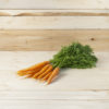Carottes