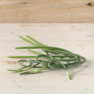 Fleur d'ail