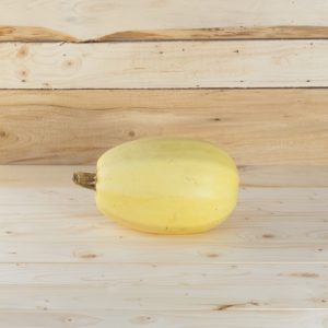Courge spaghetti