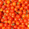 tomate cerise
